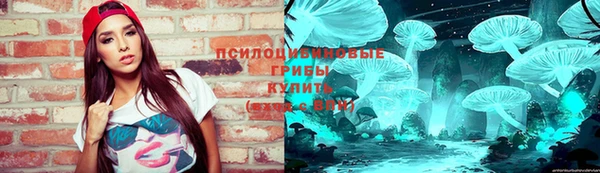 спиды Чердынь