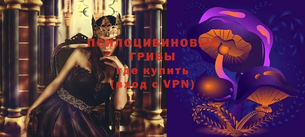спиды Чердынь