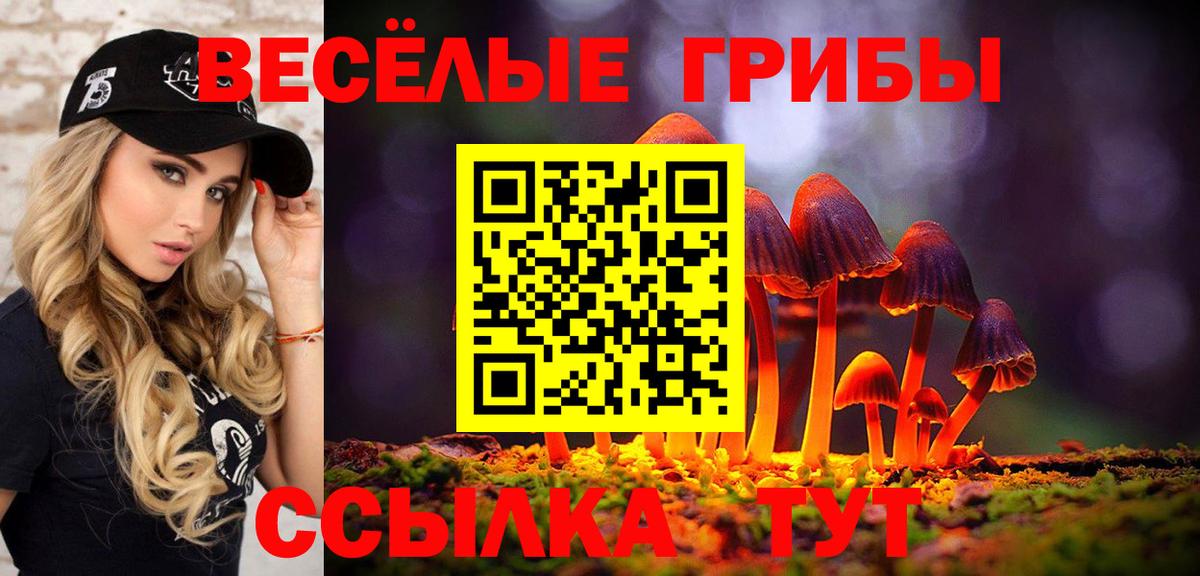 Миасс  Галлюциногенные грибы ЛСД  Вход с VPN  Псилоцибиновые грибы GOLDEN TEACHER 