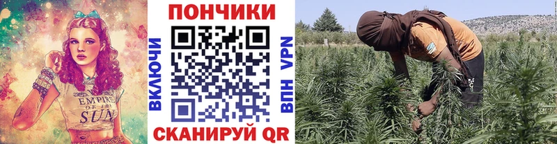 Шишки марихуана THC 21%  купить   Миасс 